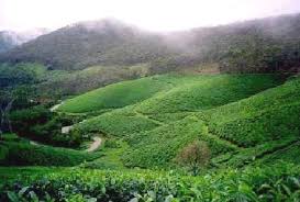 http://hariharan-s.sulekha.com/blog/post/2001/05/munnar-where-earth-meets-heaven.htm