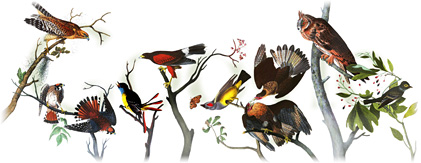 226th Birthday of John James Audubon