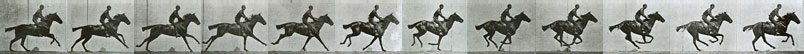 muybridge12-hp-f.jpg